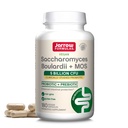 Fórmulas Jarrow Saccharomyces Boulardii + MOS - 5 Organizaciones de billón Por Servir - 180 Caps desechados de liberación veggie - Probiótico + Prebiótico - Apoyo de tracto intestinal - Hasta 180 Servimientos