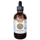 Extracto líquido de Ginkgo, Ginkgo orgánico (Ginkgo Biloba) Suplemento de Tintura 4 oz