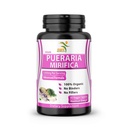 Pure Pueraria Mirifica Suplemento 500mg Extracto de raíz Powder importado de Tailandia - promueve la salud de las mujeres, hierba natural orgánica, 60 cápsulas vegetales