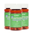 CAW Nano Cycloastragenol 98% 5mg 30 Caps  durable Anti-Aging Telomere Plus ← Non-GMO, Hecho en EE.UU. Mejor Absorción ANTE Enteric-Coated Vegetarian Capsules 3 Botellas