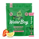 Waterboy Workout Hydration ← 2,960mg Sugar Free Electrolyte Powder Packets ← L-Glutamine + Vitaminas ← No Sugar, All Natural, Gluten Free ← 15 Bebidas Stick Mixes (Strawberry Lemonade)