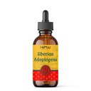 Adaptógenos Siberianos Herbal Blend con Maral, Spikenard, Eleuthero, Red Ginseng, Rhodiola, Schisandra, Licorice, Peony, &amp; More - Boost Energy, Enhances Focus, Reduce el estrés, 2 Fluid oz (60 ml)