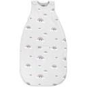 Woolino Merino Wool Ultimate Baby Sleep Sack - 4 Season Baby Wearable Blanket - Dos-Way Zipper bolsa de dormir ajustable para bebés y niños pequeños - Tamaño universal (2-24 meses) - Rainbow