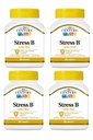 21st Century Stress B W/Zinc 66 Conde (4 Pack)