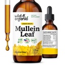 Wild &amp; Organic Mullein Drops for Lungs - Lung Detox and Cleanse - Liquid Mullein Leaf Tincture with Echinacea & Licorice Root - Vegan, Sugar &amp; Alcohol-Free Extract Supplement - 2 fl oz