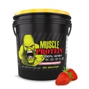 COLOSSAL LABS Muscle Protein Whey Powder [12 lbs/Pack of 1] – Filtro frío, 25g Proteína pura, 6.6g BCAAs (Packaging May Vary) (12LB, Strawberry)