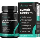 Herbal Lymph System Support Supplement - Lymphatic Support Complex with Echinacea Goldenseal Astragalus & Hydroxytyrosol for Lymphatic Drainage & Immune Support - Vegan Non-GMO Gluten Free (1 Mes)