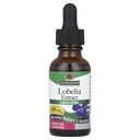Nature?s Respuesta Lobelia Herb Lobelia Inflata - Suplemento Natural Herbal - Sin gluten Alcohol - Ideal para inmunidad Bienestar general de salud ? 690mcg (1 FL Oz)