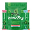 Waterboy Workout Hydration  2,960mg Sugar Free Electrolyte Powder Packets