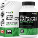 Renew Actives High Potency Green Coffee Bean Extract - 800 mg por Serving Green Coffee Bean Extracto con 50% de ácido clorogénico para beneficios antioxidantes - Hecho en Canadá - 90 cápsulas veganas