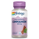 SOLARAY Extracto de canela 300mg - Suplementos de canela para Balance - Soporte herbal con 24mg Flavonoids - Lab Verificado, Gluten Gratis, Garantía de 60 días - 60 Servimientos, 60 VegCaps