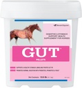 GutTM Pellets ← Probióticos de Gut sanos para Caballos