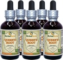 Root de Queen (Stillingia Sylvatica) Tintura, Botas secas Extract líquido (Marca: HerbalTerra, Proudly Made in USA) 5x2 fl.oz (5x60 ml)