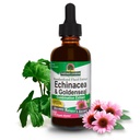 Respuesta de la naturaleza Echinacea & Goldenseal con alcohol orgánico, onzas de 2 líquidos