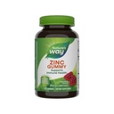 Camino de la naturaleza Zinc Gummies, Immune Support Gummy con 100% Valor diario de Zinc por 1-Gummy Serving*, Adultos &amp; Kids 9+, Gluten Free, Plant-Based Pectin, Mixed Berry Flavored, 120 Gummies