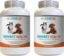 gato UTI Dolor Alivio - Mascotas Urinary Health Complex - para perros y gatos - Soporte de la vejiga avanzada - Botellas de arándano para gatos - 2 Botellas (180 Treats)