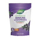 Camino de la Naturaleza Sambucus Immune Lozenges, High Potency Vitamin C, Elderberry, 24 Tropical Flavored Lozenges (Packaging May Vary)