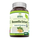Secretos Herbal Boswellia Serrata Extracto (65% Ácidos Boswellicos) 600 mg 120 cápsulas Suplemento - No GMO - Gluten Free