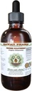 Chino Goldthread Extract líquido libre de alcohol, Goldthread chino (Coptis Chinensis) Dried Root Glycerite Hawaii Pharm Natural Herbal Suplemento 2oz