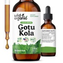 Wild & Organic Gotu Kola Herb Tincture - Cerebro Soporte - Gotu Kola Liquid Extract Drops - Vegan, Sugar &amp; Alcohol-Free Centella Asiatica Suplemento - 2 fl oz