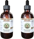 Resumen líquido libre de alcohol Mullein, Mullein orgánico (Verbascum densiflorum) Flor seca Glicérite Natural Herbal Suplemento, Hawaii Pharm, USA 2x4 oz