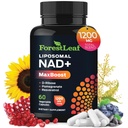 Suplemento NAD+ - 500 mg de NAD puro Plus for Energy, Focus, Skin " Anti-Aging Support - Gluten Free Non-GMO NAD Supplements for Women " Men (60 Count (Pack of 1), NAD+ Resveratrol)