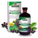 Respuesta de la naturaleza Sambucus Elder Berry Extract Syrup 8 Ounce ( 3 Pack ) ← Asistencia diaria para inmunizar a los antioxidantes ¦ Family Friendly ← Flue Season Defender