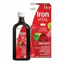 Hübner Hubner Iron Vital Liquid Iron Supply Plus Vitamina C, Suplemento dietético para adultos y niños, Vegan y Gluten-Free, Fruit Flavor, 500 ml Bottle, 50 Servings