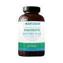 Rootcology by Dr. Izabella Wentz ¦ Pancreatic Enzymes Plus ¦ Enteric Coated Lipase, Protease &amp; Amylase Blend with Bromelain ← 90 Capsules
