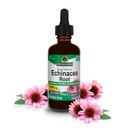 Respuesta de la naturaleza Echinacea Extract ← Soporta un sistema sano de inmunidad ¦ Vegan, libre de gluten, libre de alcohol, no GMO " Kosher Certified TEN 2oz
