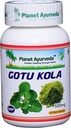 Planeta Ayurveda Gotu Kola, 500mg Veg Capsules-Single Bottle