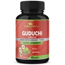 Orgánica Giloy Guduchi Extract Capsules " Ashwagandha, Licorice, Holy Basil ← Immune Booster