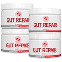 Plata Fern Gut Reparación - Suplemento de Salud Digestivo Polvo L-Glutamina, Curcumin, Zinc, Ascorbic Acid Blend