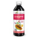 Papaya Leaf Blood Support Liquid - 15X Strength - Papaya Leaf Extract - Plaquetas saludables, Sangre limpia, Digestión, Papaya Enzyme -12oz Liquid - Herbal Goodness (1 btl)