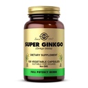 Solgar Super Ginkgo, 120 cápsulas vegetales - Full Potency (FP) - Antioxidant &amp; Nervous System Support - Brain Health - Non-GMO, Vegan, Gluten Free, Dairy Free, Kosher - 120 Servings