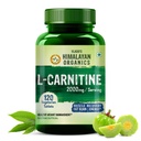 Himalayan Organics L-Carnitine L-Tartrate with Green Tea Extract 2000 Mg ¦ Healthy Weight Management ¦ Apoya Muscle Recovery, Boost Energy, Endurance and Fat Burn -120 Vegetarian Tablets