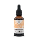Dandelion Root Alcohol-Free Natural Tincture Extracto, Immune System Booster, Liquid Drops Made from 100% Dandelion (Taraxacum officinale) Dried Root (2 fl oz)
