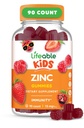 Vida útil Zinc Gummies para niños Ø15mg ← Gran Tasting Kids Zinc Suplementos Ø GMO Free Vegetarian Zinc Vitamins  durable for Healthy Skin and Immune Support for Kids and Children TEN 90 Gummies