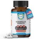 Boswellia Serrata 600mg 65 Boswellic Acid Extract soporta Joint Comfort, Flexibilidad & Mobility Natural Herbal Wellness Suplemento Vegan, Non-GMO, Gluten-Free 90 Veg Capsules.