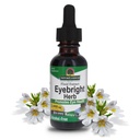 Respuesta de la naturaleza Eyebright Herb ← Soporta los ojos saludables " Visión ante los no transgénicos sin alcohol, libre de gluten, certificado de Kosher, vegano " No preservatives 1oz