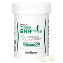 BNRThin S30, Lactobacillus Gasseri BNR17, 10 Billion CFU Garantizado, 30Capsules