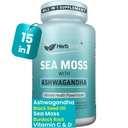 Herbtonics Sea Moss, Black Seed Oil, Ashwagandha, Burdock Root & ACV Complex ← Inmunity Boost, Reduce Stress, Support Digestion ← All-in-One SeaMos Capsules ← 60 Capsules