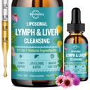 Liposomal Limphatic Drainage Drops, Liver Cleanse Detox " Repair Liquid Supplement with Milk Thistle, Dandelion, Burdock Root " Echinacea - Lymph & Liver Detox, Antioxidante, Natural Flavor 2 Fl Oz