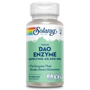 SOLARAY DAO Enzyme - Enzyme Digestivo que rompe Histamina - 60.000 HDU - Enzimas Digestivos - Vegan, Gluten Gratis, Lab Verified - 30 Servings, 30 VegCaps