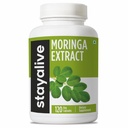 STAY ALIVE Moringa Capsules 1000mg, 20:1 Extracto, 120 Píldoras, Superalimentos Verdes con Fuerza Extra, 100% Pure Oleifera Leaf Powder, 2 Months Supply, All Natural, No GMO &amp; Gluten Free Moringa Supplement