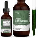 Earth Harmony Liquid Chlorophyll, Liquid Drops for Immune System Support, Natural Internal Deodorant, Vegan Chlorophyll Drops with Organic Glycerin-Clorofila Liquida, Chlorophyllin Detox Cleanse 2 oz