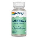 SOLARAY Nattokinase Suplemento - Nattokinase 100mg, 1.250 FU - Suplemento de Apoyo a la Salud Tradicional - Garantía de 60 días de laboratorio Verificado - 30 Servimientos, 30 VegCaps
