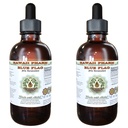 Hawaii Pharm Blue Flag Alcohol-Free Liquid Extract, Blue Flag (Iris versicolor) Dried Root Glycerite Natural Herbal Supplement 2x4 oz