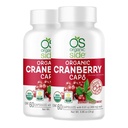 Organic Side | 2 Pack Organic Cranberry Capsules | 60 Vegan Capsules | for UTI Prevention & Urinary Health Support, Certified USDA, Non-GMO, Vegan & Gluten-Free Cranberry Supplement
