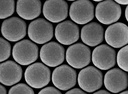 Colloidal Polystyrene Beads (Carboxylated; 900 nm, 10 mg/ml, 10 ml)
